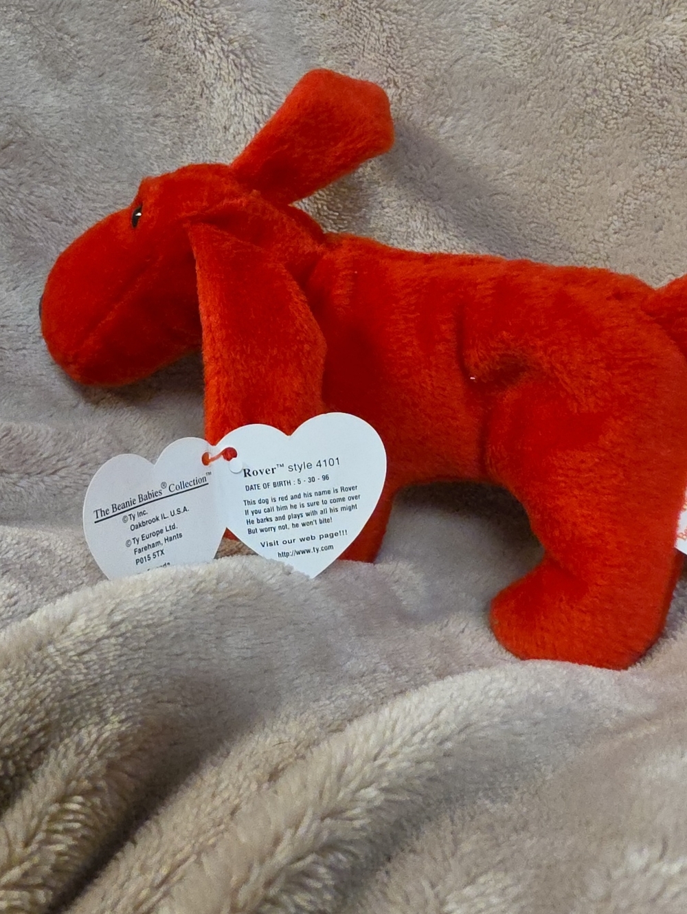 Ty Red Plush Dog Toy - Rover Beanie Style